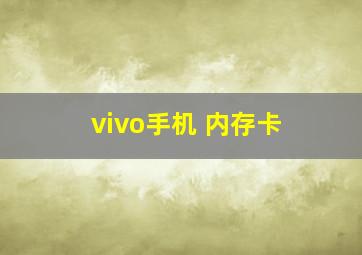 vivo手机 内存卡